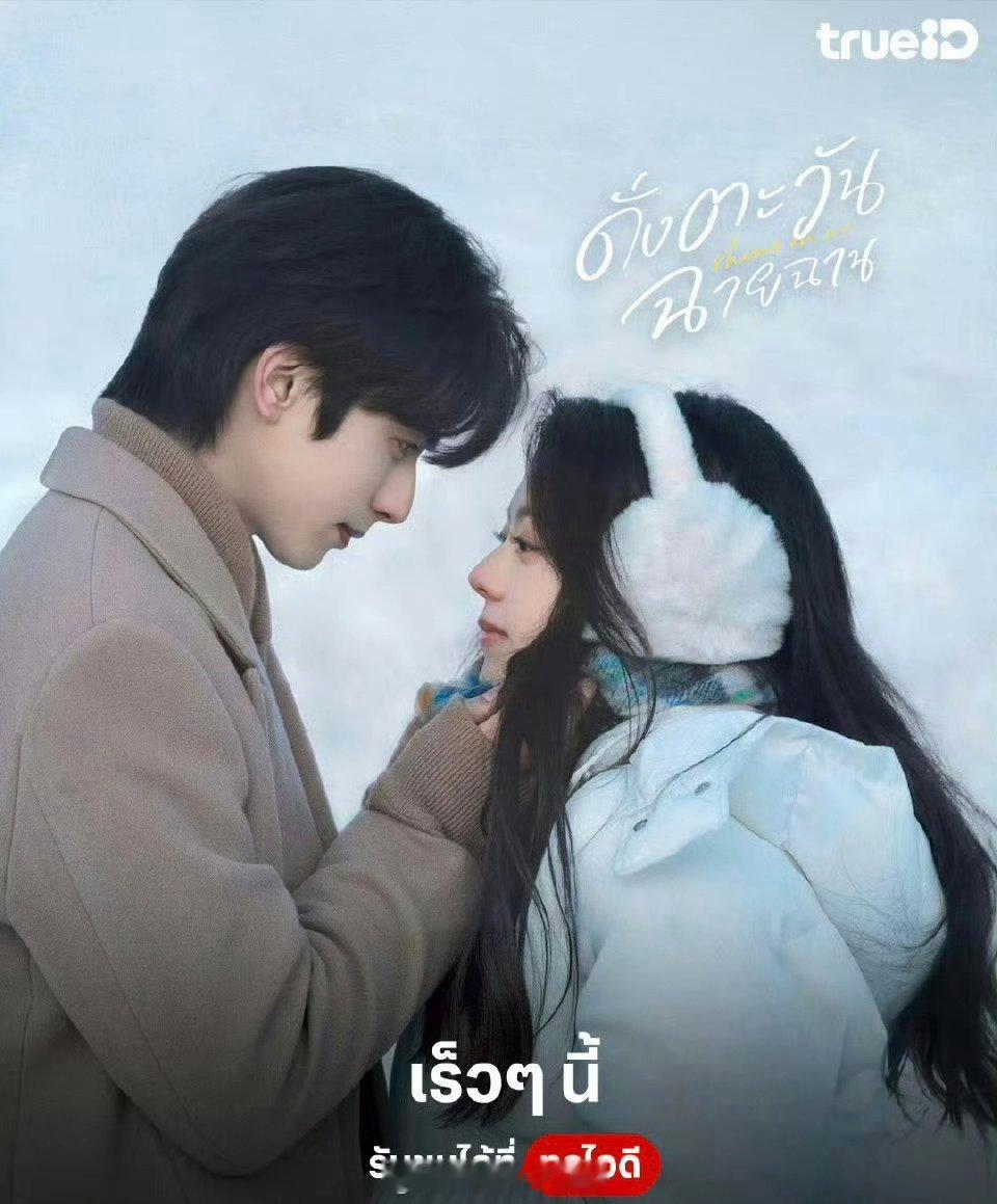 宋威龙、赵今麦领衔主演的36集都市爱情剧《骄阳似我》泰国OTTTrueID即将