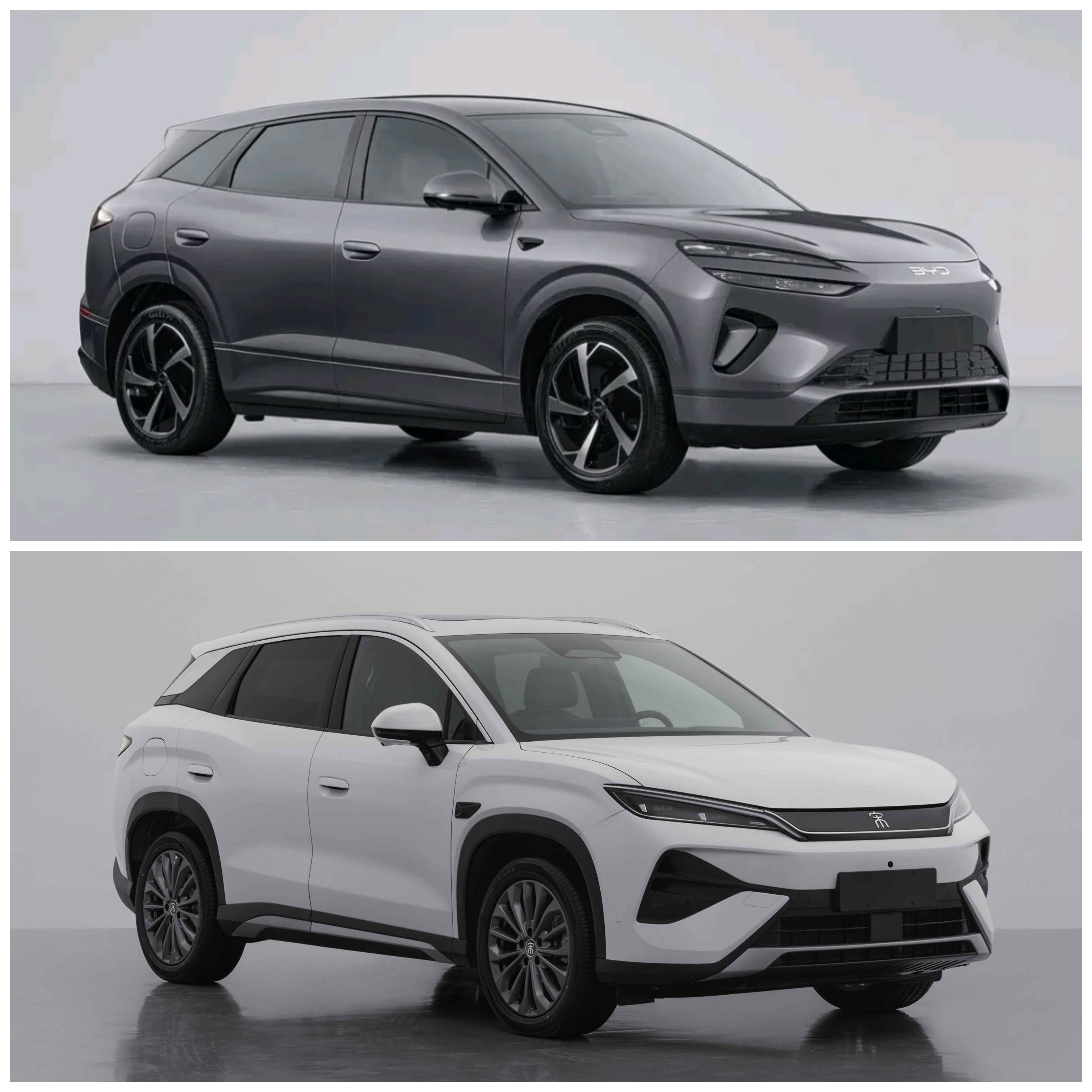 如何选购比亚迪