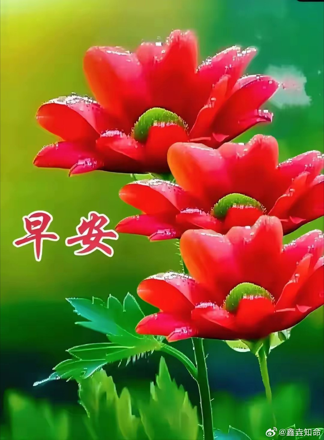 命学感悟：古人云：良缘由夙缔，佳偶自天成。纵然你行遍万水千山，那个人若不是你的归