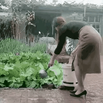 唉哟喂，女子下雨天还浇菜？真是犯迷糊了[捂脸哭][大笑]农村某地，有位女子在城