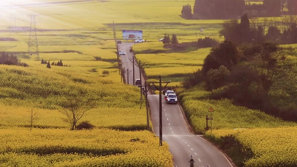 🔥罗平油菜花刷屏！中国最早的春天美到窒息。罗平的春天，是被百万亩金黄点燃的浪漫