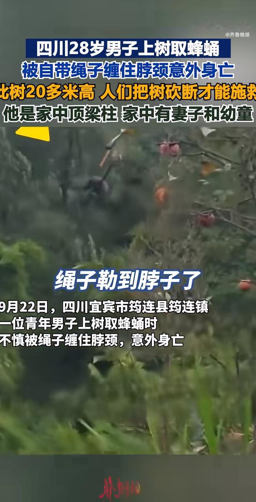 前几天刷到个新闻，心都揪得发疼。一个28岁的小伙子，闲着没事上树摘果子，自己带了