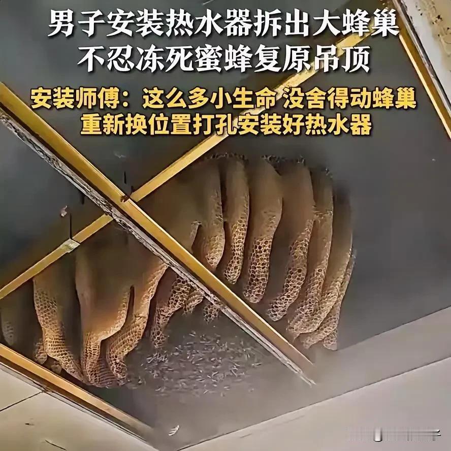 江苏一男子家装热水器，师傅拆开吊顶的瞬间，直接被惊出一身冷汗！只见密密麻麻