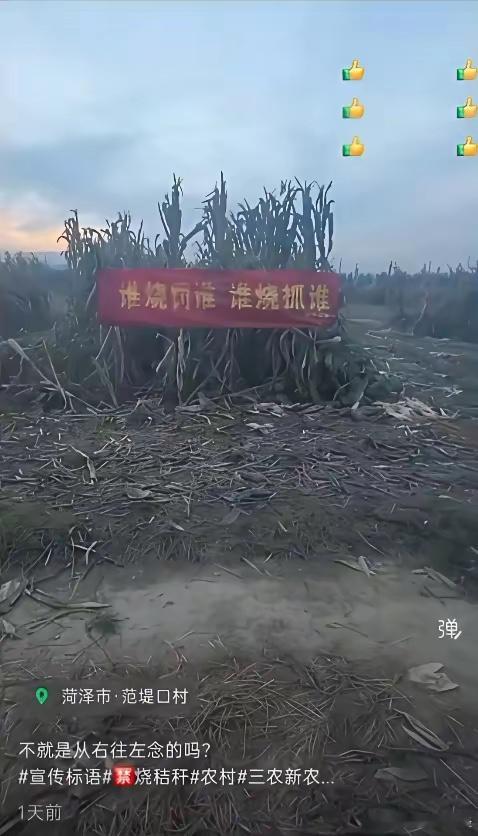 这个标语倒着念就舒服多了！​​​