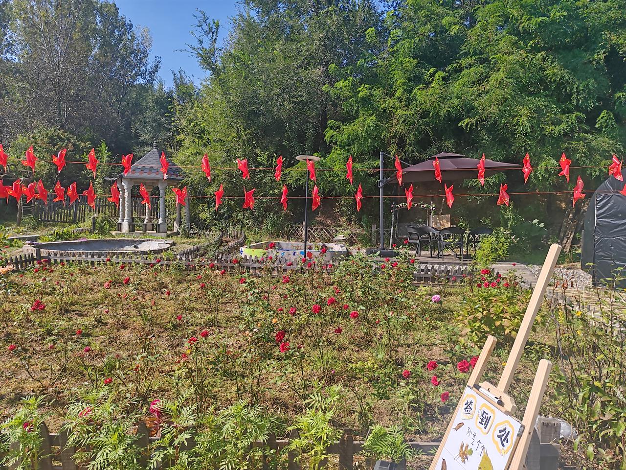 昨夜辗转难眠，窗外的月光淡淡地洒进卧室，我轻轻推了推身旁的丈夫说：“等你退休了最