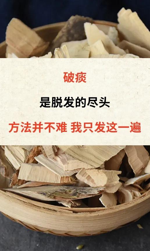 破痰是脱发的尽头方法并不难我只发这一遍世上本无病，只有痰和瘀，当身体里