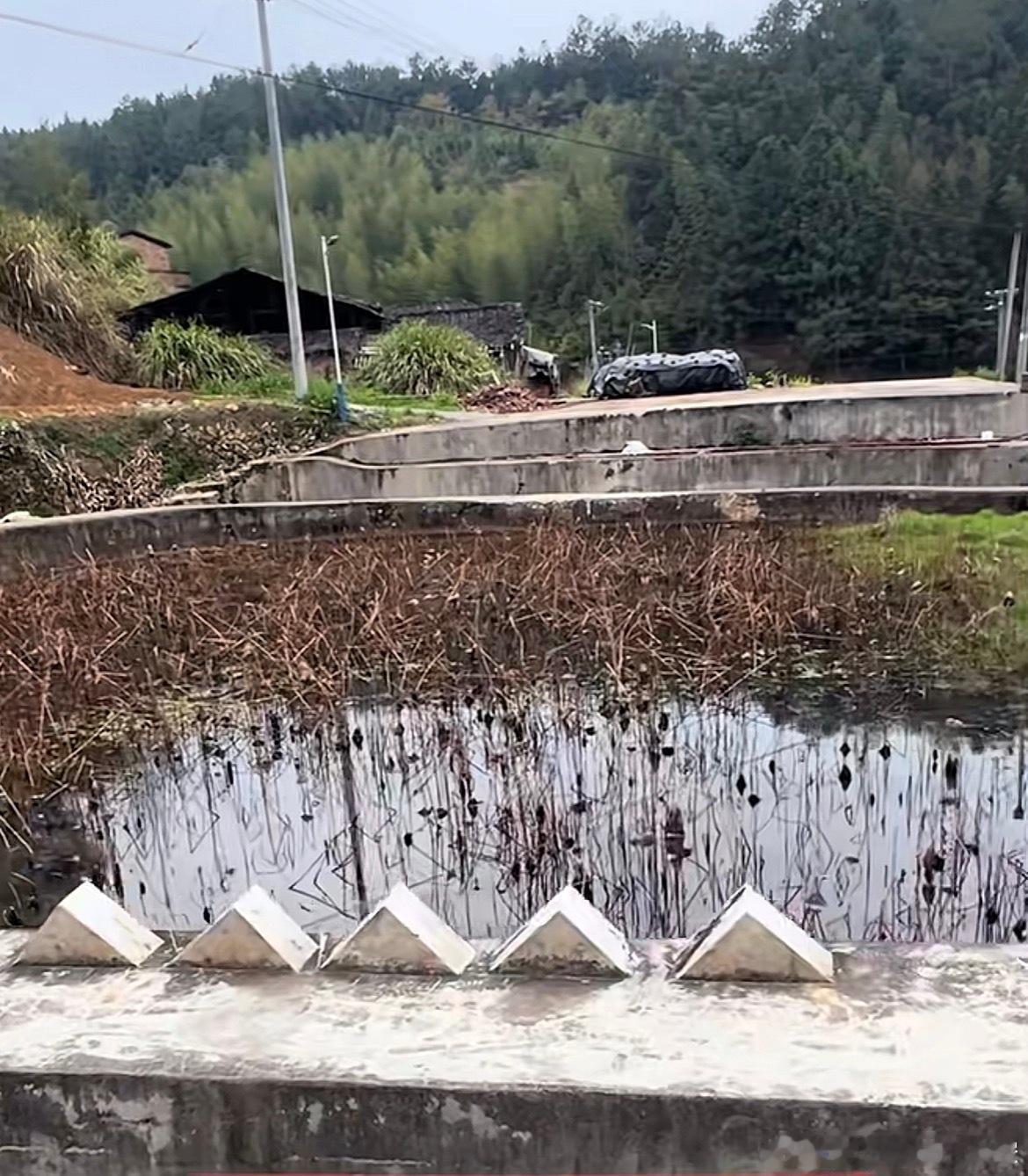 这种人造风水已经去到“病态”的情况了。门前的五尖角，可唯文笔、为旗、为火星；半圆形的水塘为墨池；前面