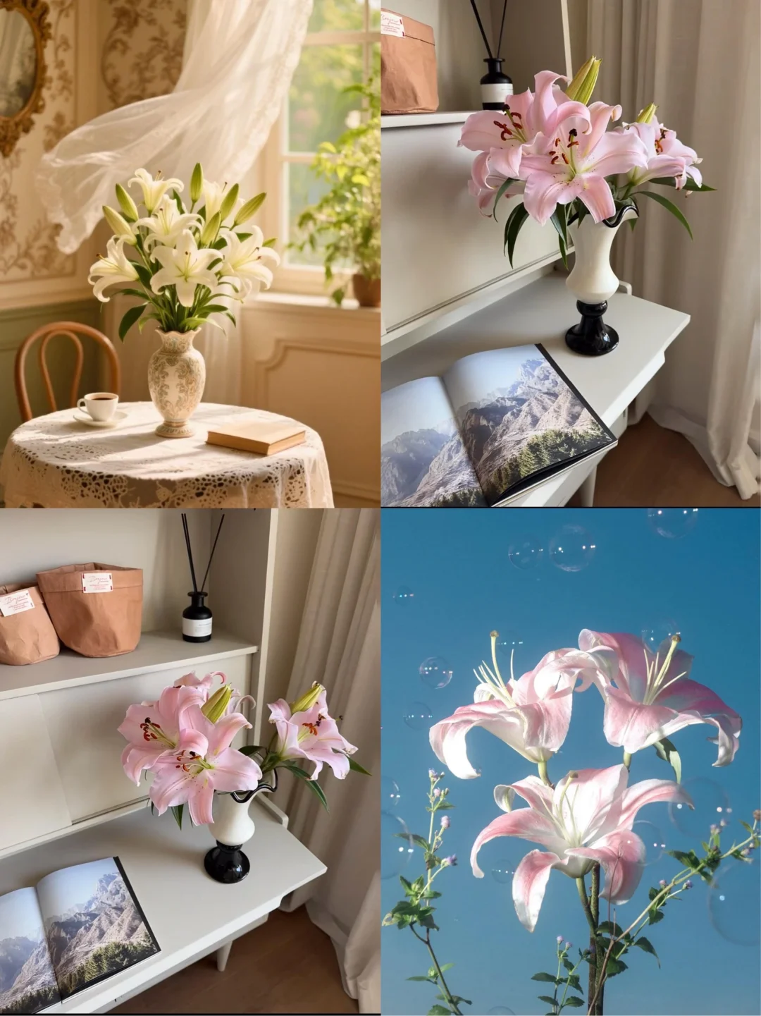 🌸养百合的3个崩溃瞬间，这样解决！✨