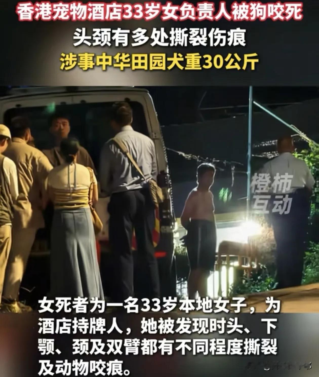 永远不要低估宠物狗的兽性！香港打鼓岭坪洋村，一正规犬只训练中心，33岁的