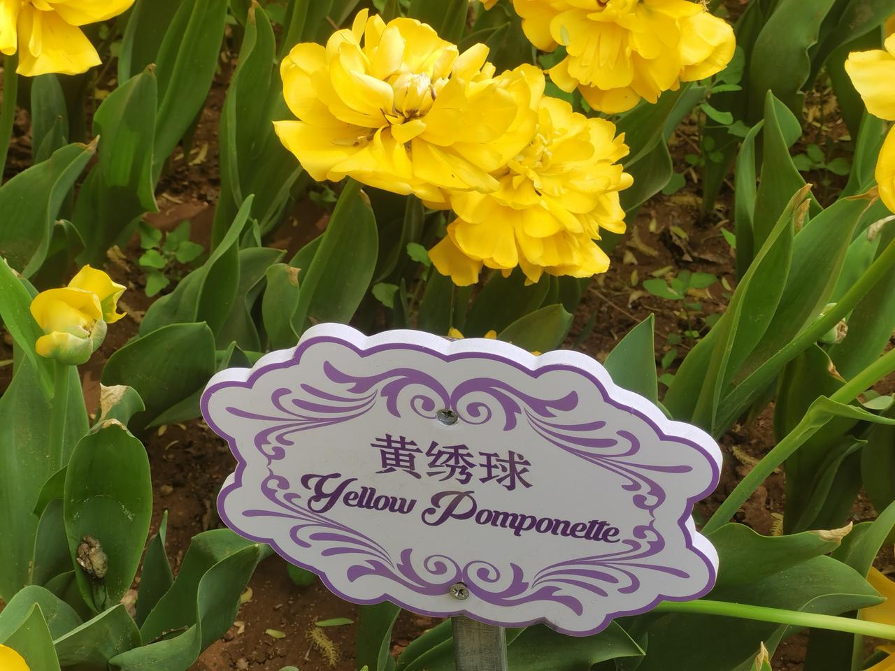 家长应不应该学习志愿填报?家长应不应该学习志愿填报?我个人建议，无论是找机构填