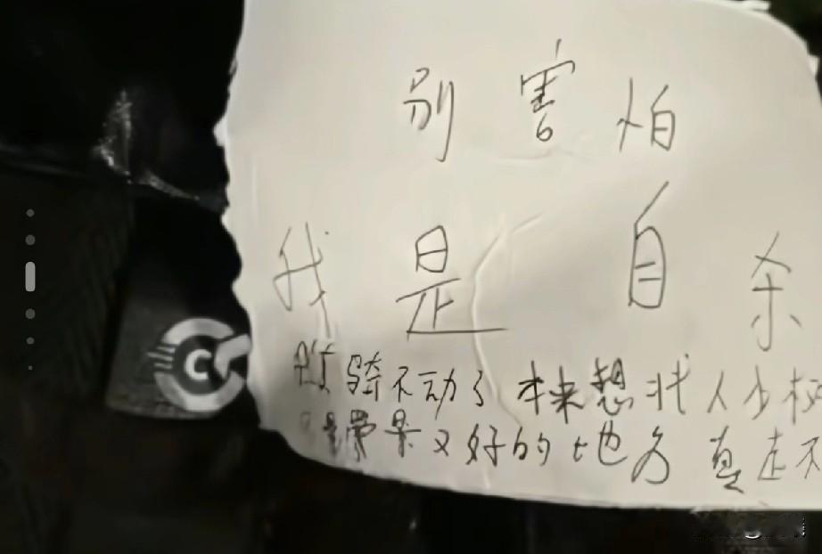 25岁，花一般的年龄，她是经历了什么，最终选择在公园里自缢，甚至生命最后一刻，还