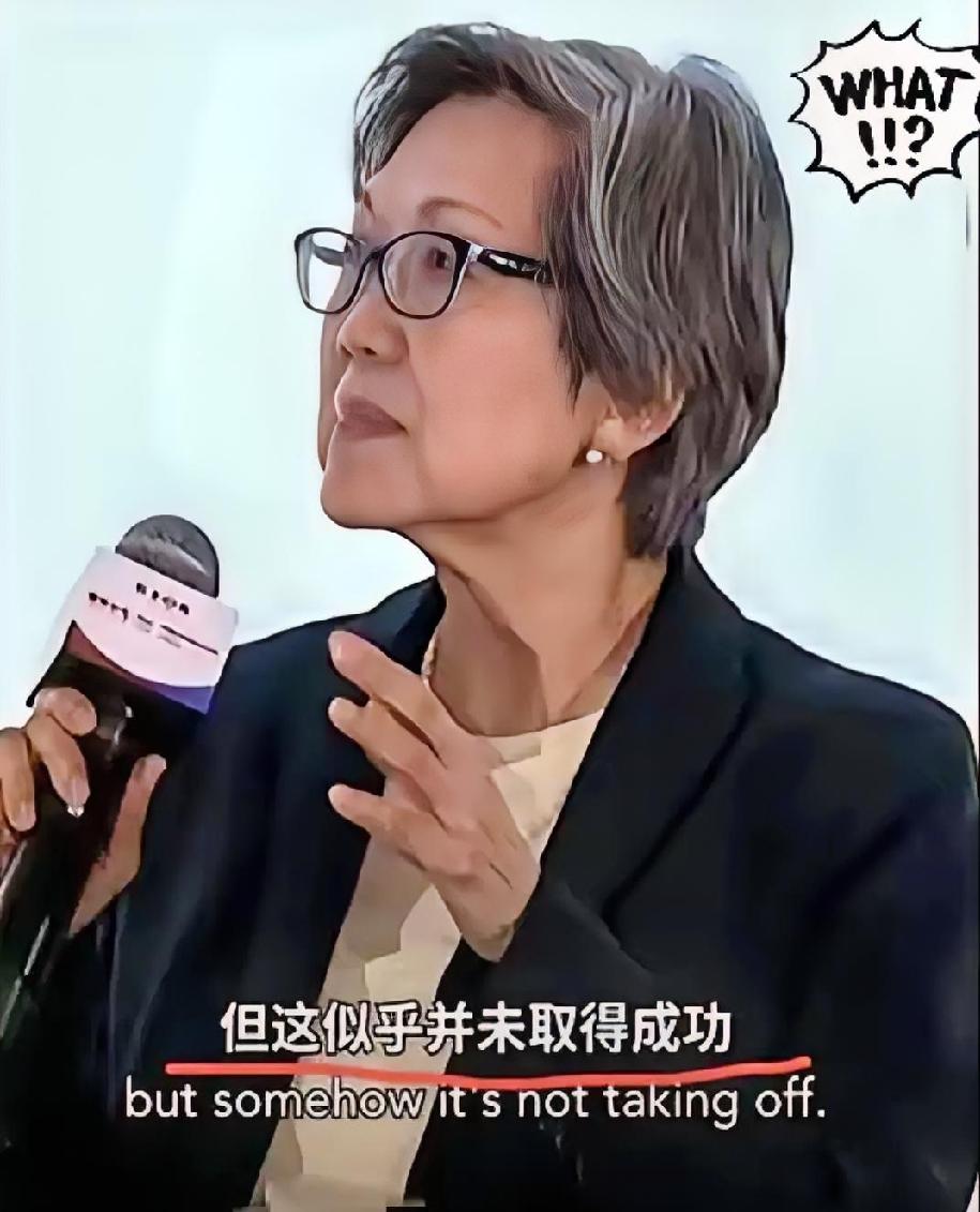 听到新加坡那位大使的话，我差点以为自己耳朵出了问题。​她说中国商品在东南亚“倾