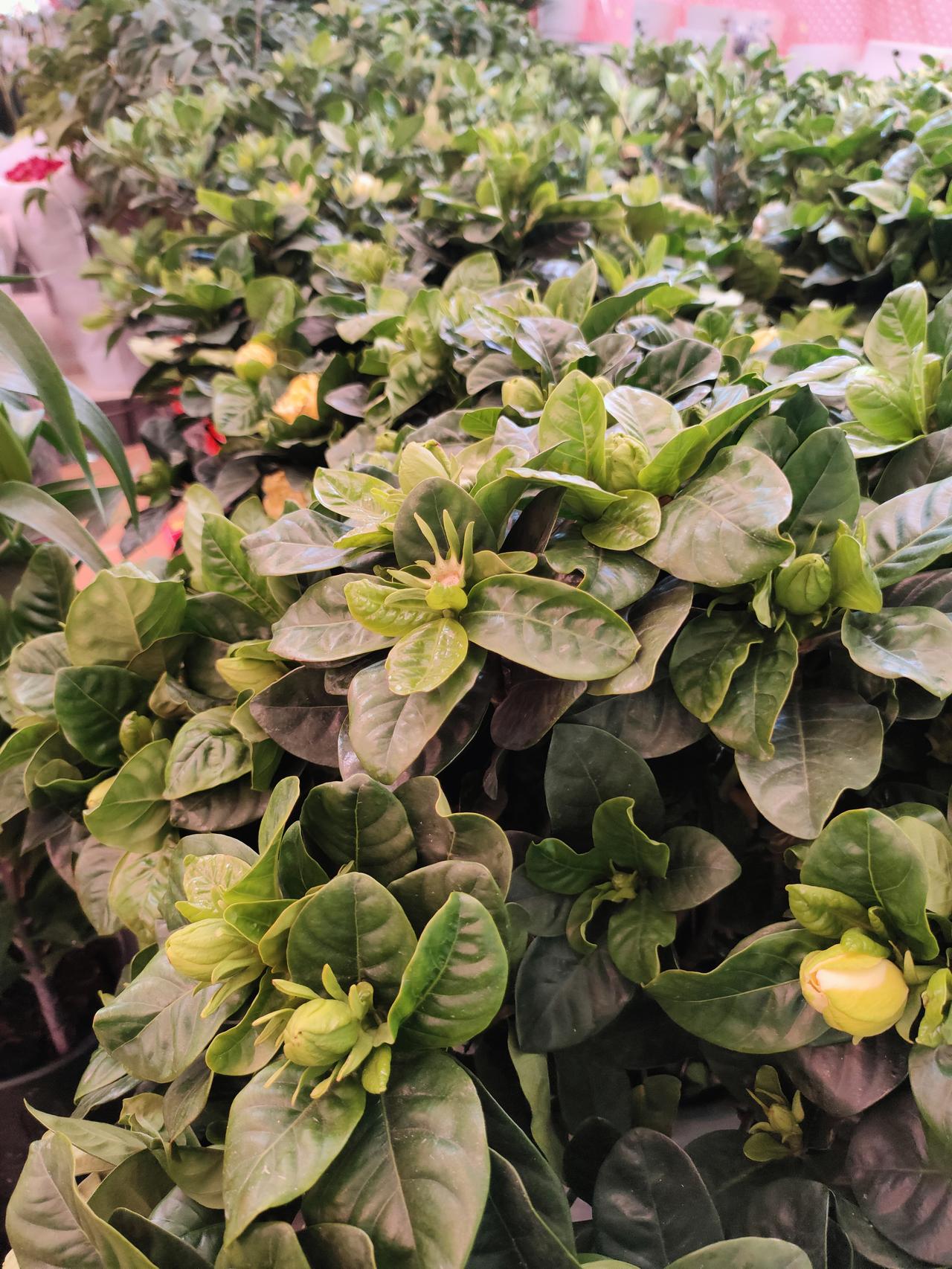 别等老去才懂：日子拼的是心情，生活要的是质量人这一辈子，总在忙着赶路，忙着