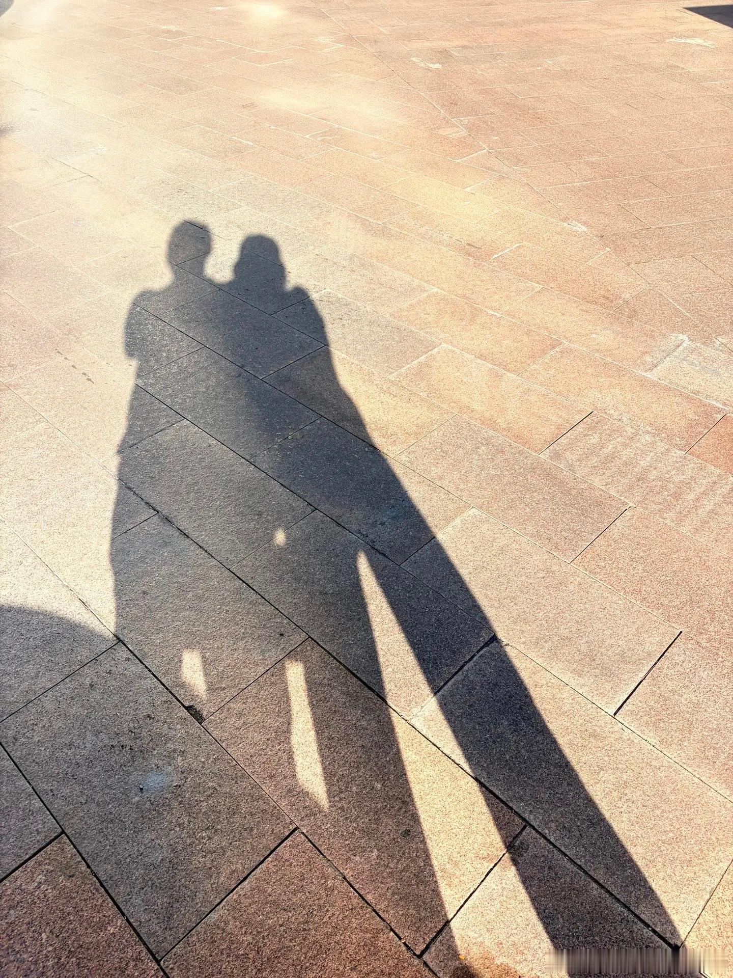 一路向西走进河西走廊，亲眼撞见课本里的丝路画卷。广袤草甸上羊群慢悠悠游荡，远山被