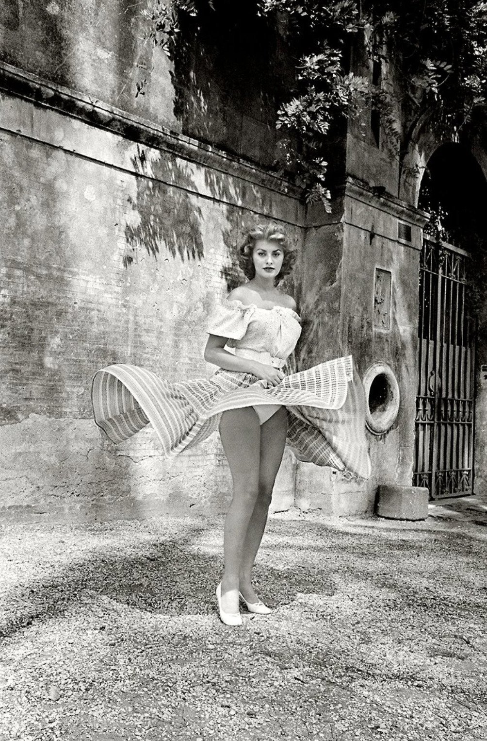 SophiaLoren​​​