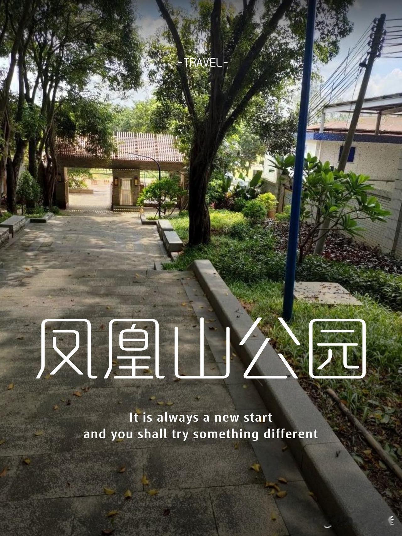 🌿凤凰山公园一日游保姆级攻略在广州市中心发现了一处绿野仙踪！避开人潮的天然