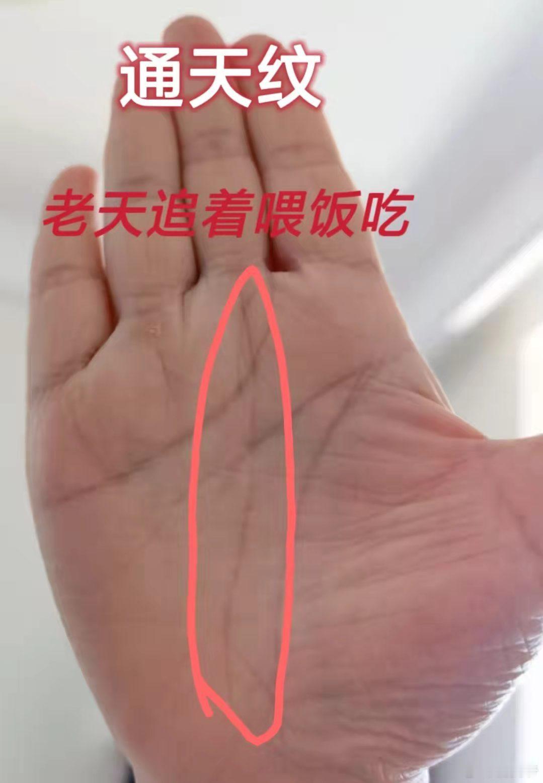这种手纹老天追着赏饭吃？？​​​