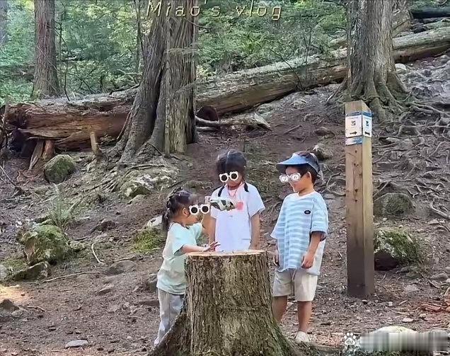 苗苗郑恺把3岁小女儿接到温哥华一起度假，一家5口人在松鸡山徒步，两个女儿都长得像妈妈，儿子像爸爸，郑