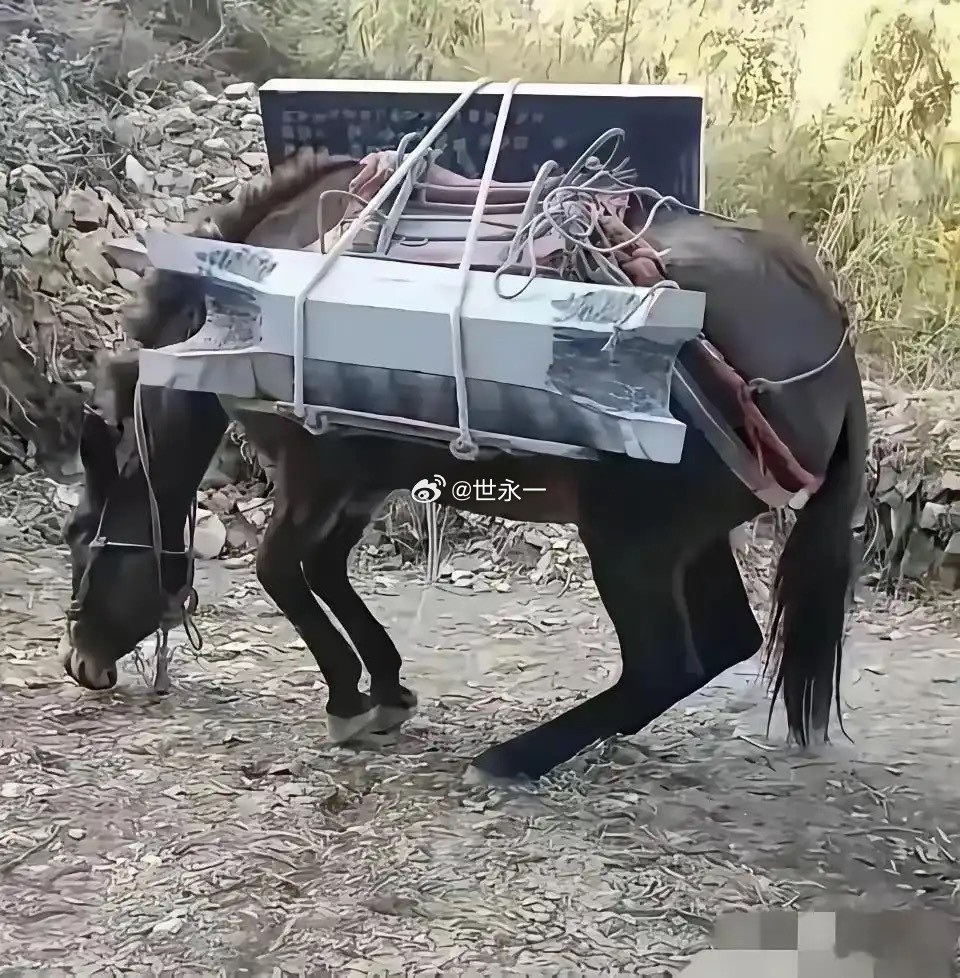 这画面真是看一次，难受一次