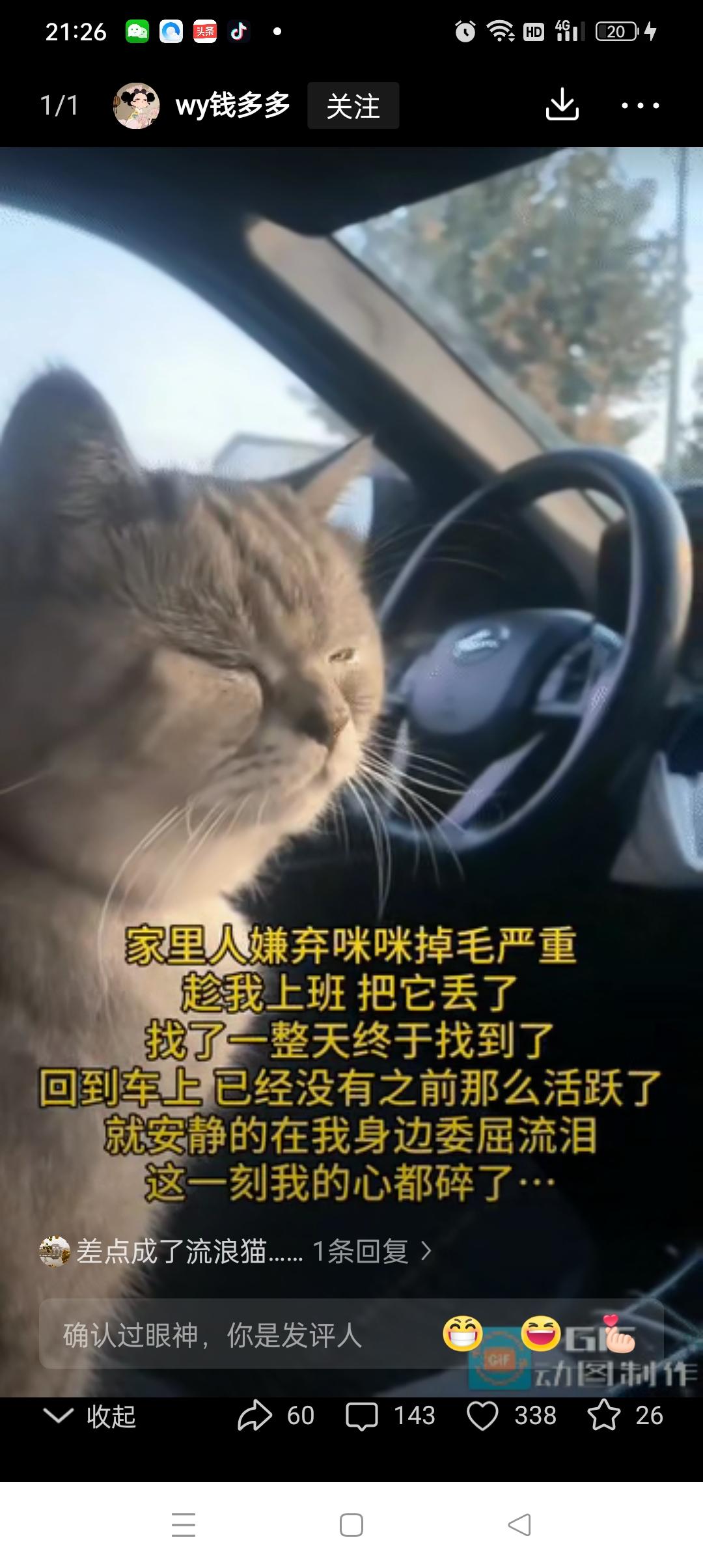 “太难受了”重庆一女子养了一只猫，家里人因为嫌弃猫咪掉毛，趁女子出门上班的时候，