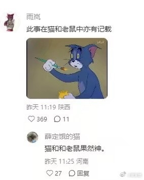 原来狸花头上的瓜子是伪装眼