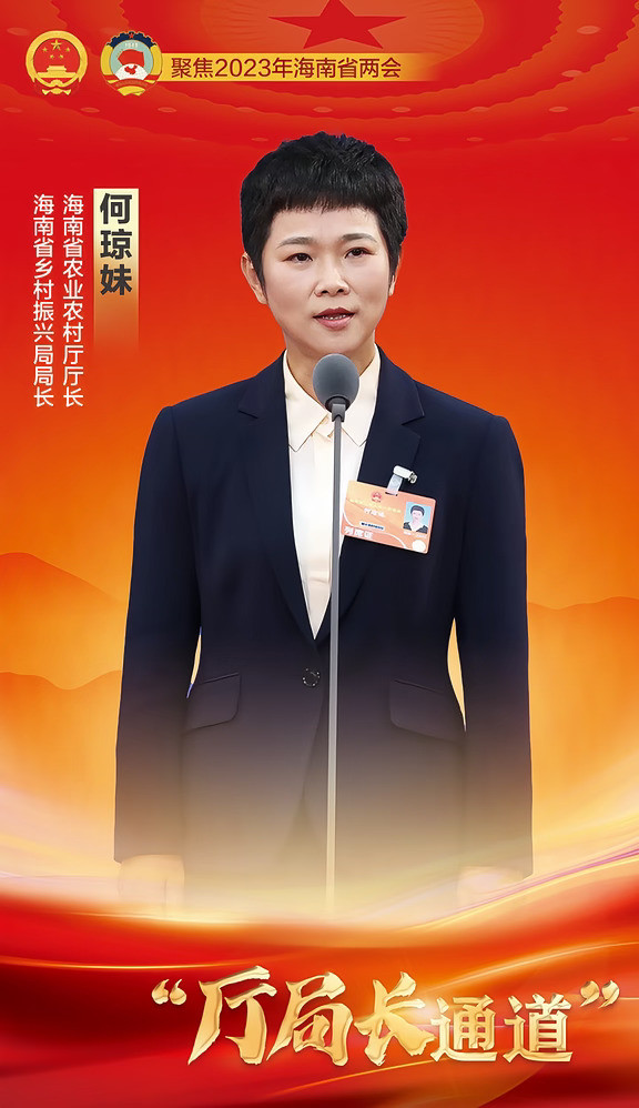 何琼妹被查