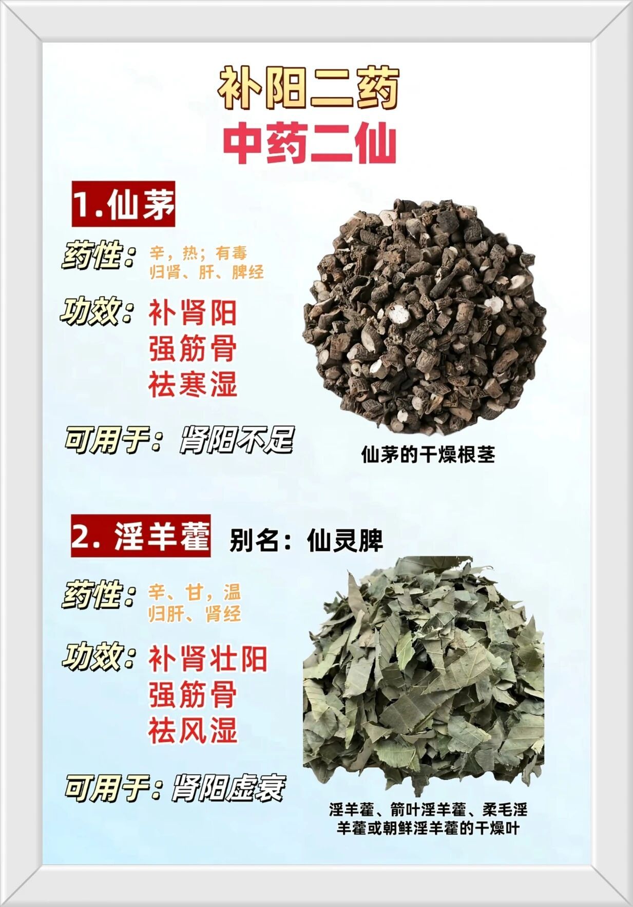 补阳二药与补阴二药【珍藏版】中药二仙(仙茅仙灵脾)与中药二至(女贞子墨旱莲)​