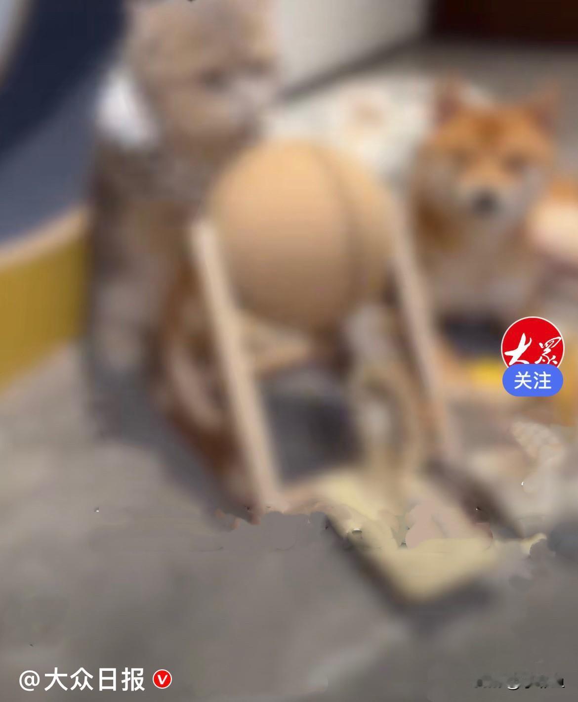近日上海星巴克，一位顾客进店消费，点完咖啡在店内隔间坐了下来，安安稳稳坐了一个多