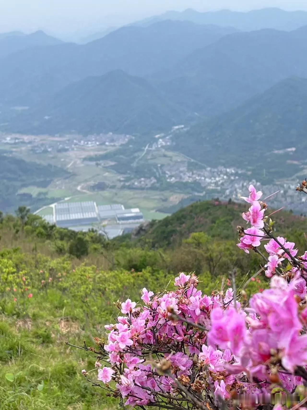 同事问我：你徒步旅行了这么久。你都爬了哪些山呀？泰山去过了吗？我微微一笑说：去
