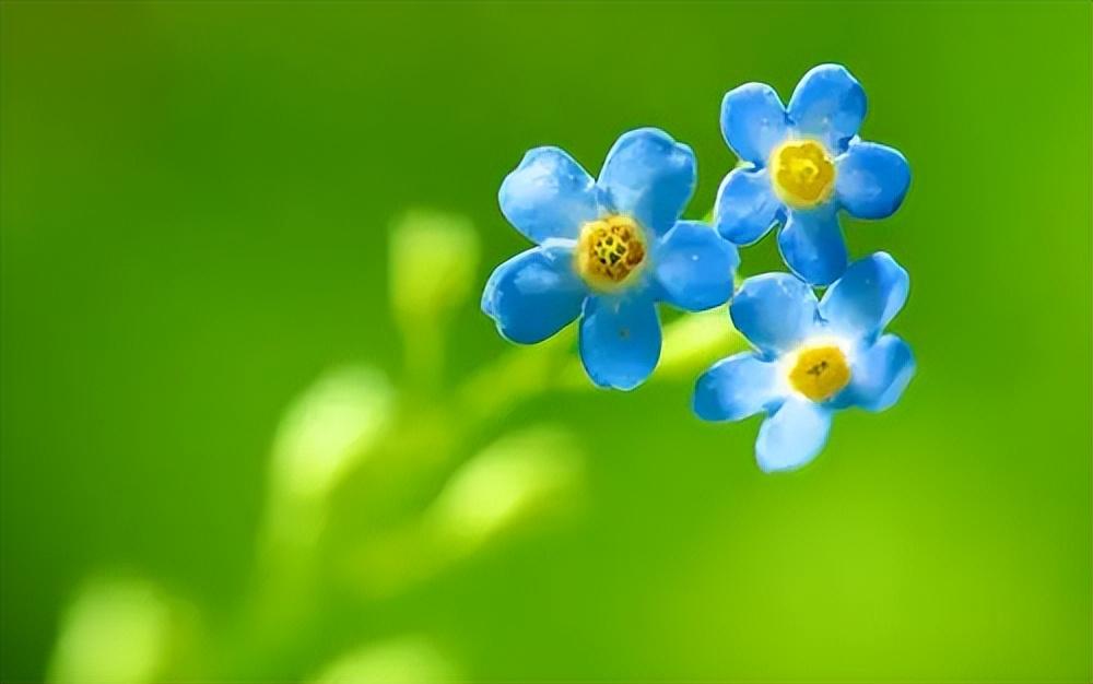 人生过半，经历了很多事情，也遇到了很多人，才渐渐看明白了生活的现实，人情的冷暖，