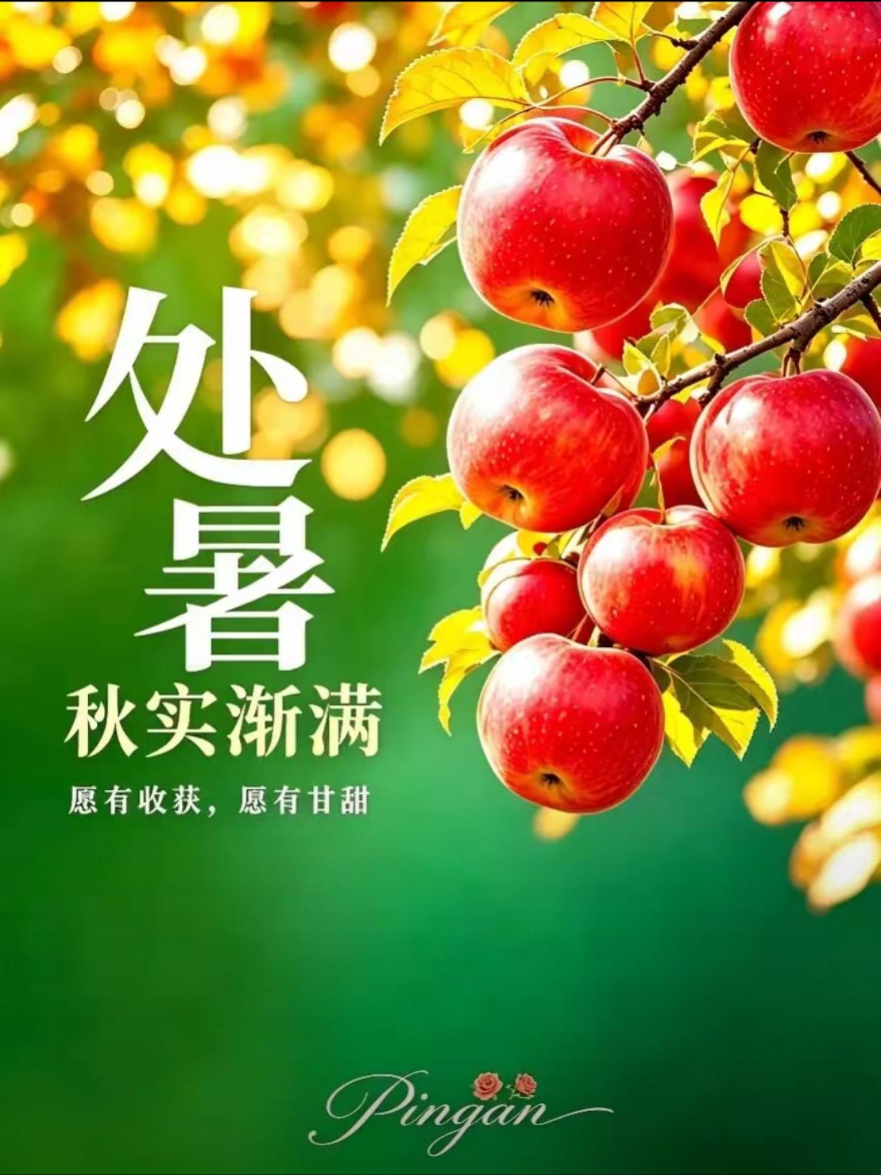 2026./8月23日，金风送福，时和景顺，处暑安康[