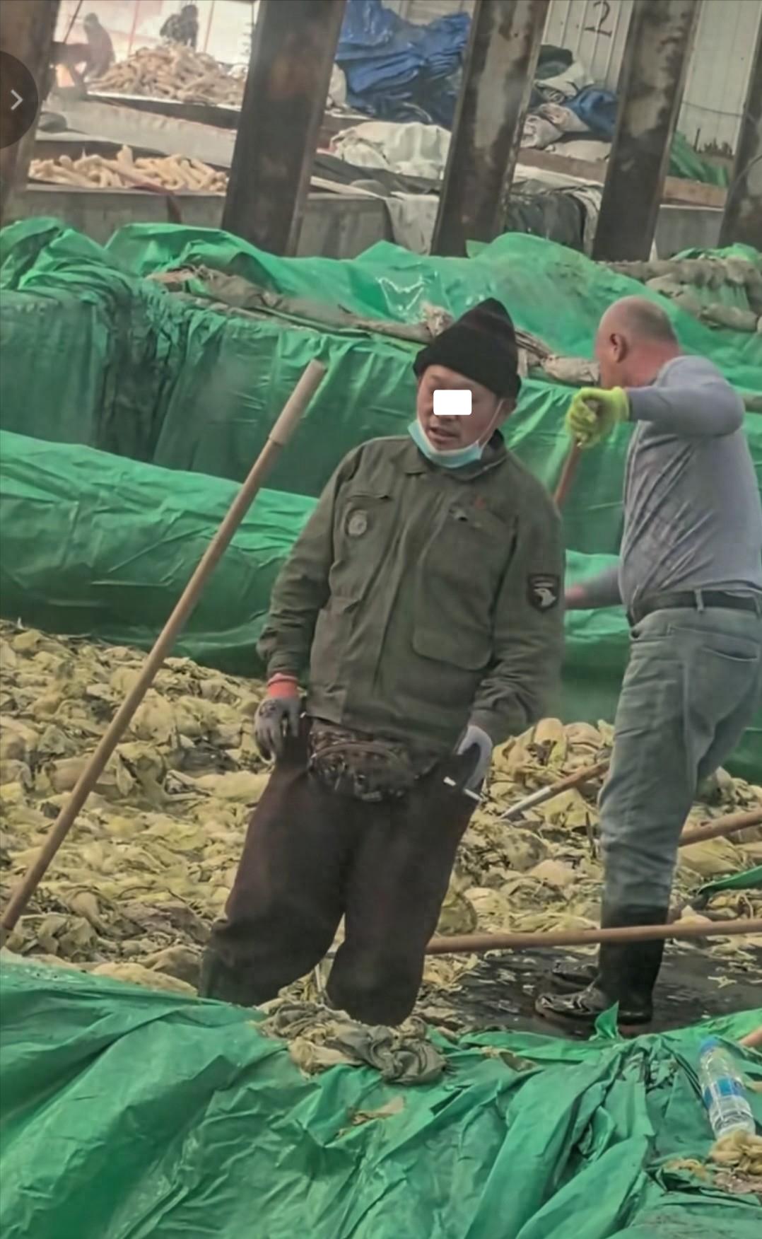 酸菜池里吐痰抖烟灰，这届食品厂工人我是真服了！辽宁某酸菜厂的监控画面让人隔夜