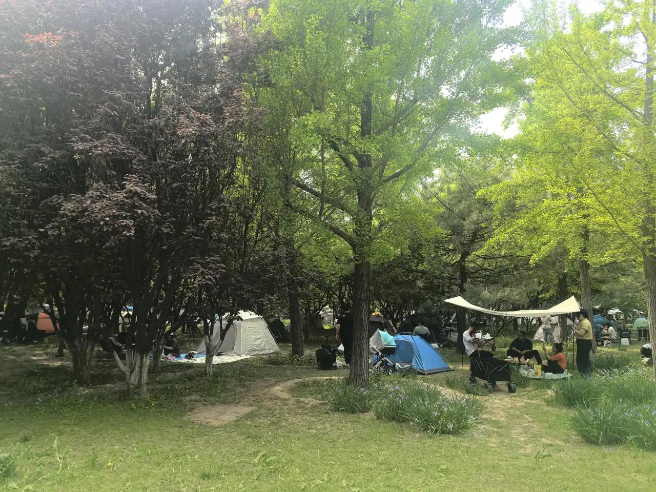 五一假期第二天，我同事捡了个大便宜。北京飞广西，4折。他说他就晚了两天买票，