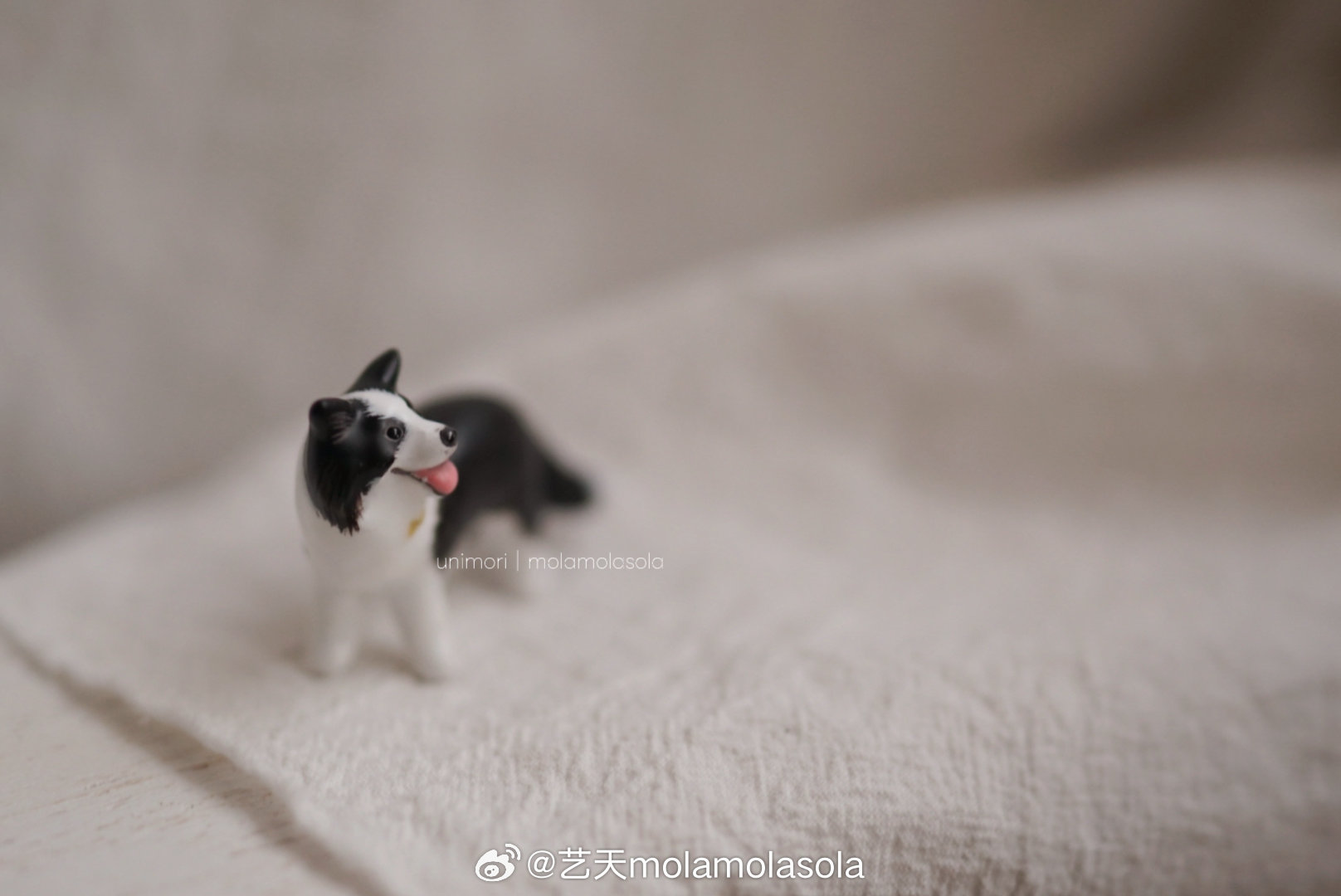 散步途中回眸的小狗𝙷𝚞𝚗𝚍𝙽𝚛.𝟶𝟼𝟾等待这只小狗的照片花了