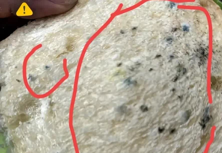 河北，一名女子在一位雇主家里做保姆，一天，雇主一家人外出聚餐，留女子一个人在家里