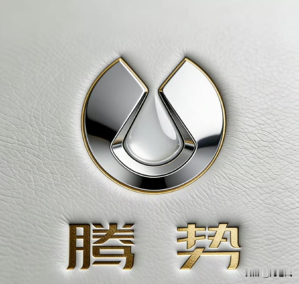 这三个腾势标更是重量级。改完以后立马显得贵五万[笑着哭][赞]这些表面文章确实