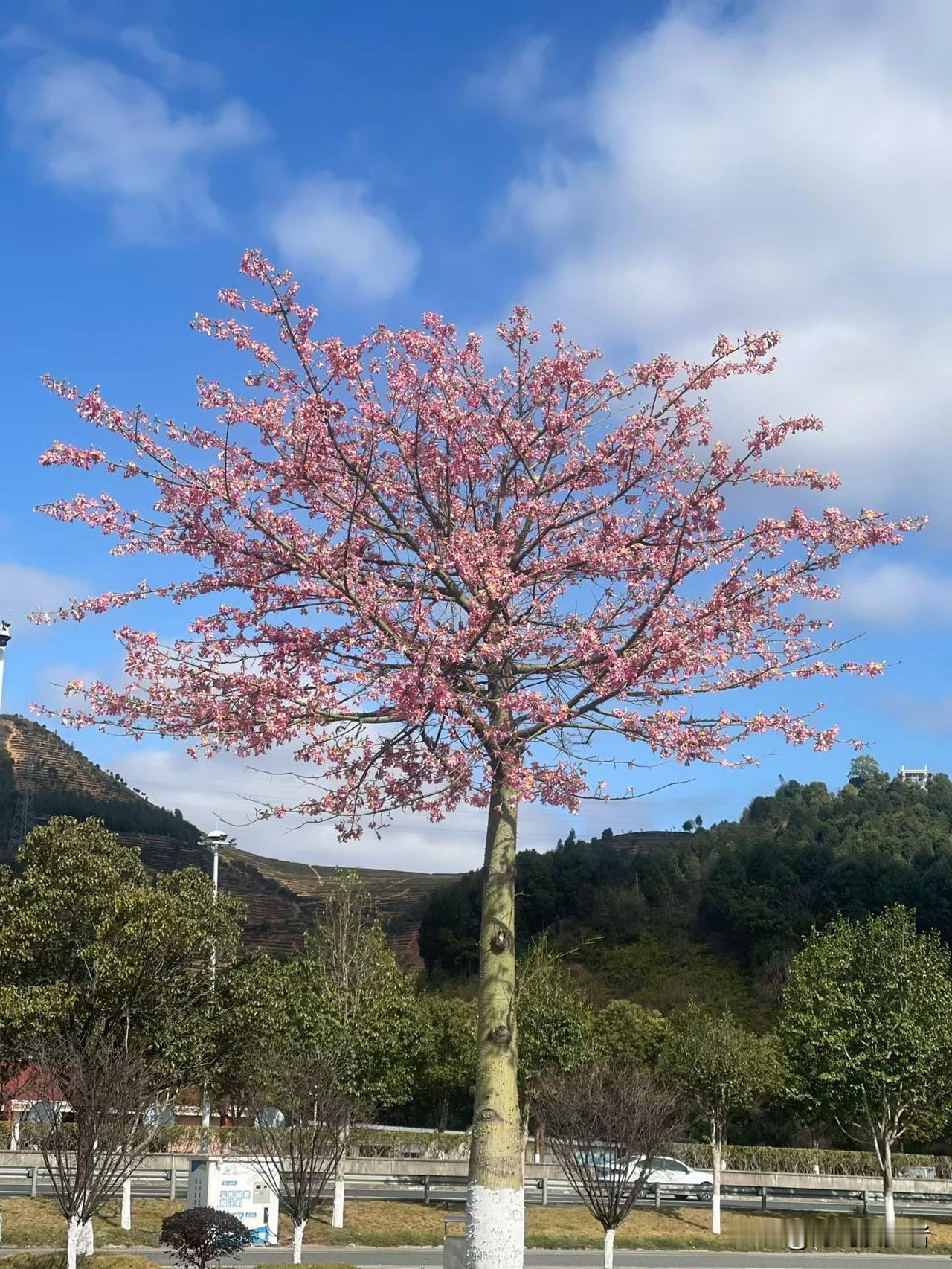发现没有很多中年女人都有一个通病那就是把一切都看的太重了！夫妻拌个嘴