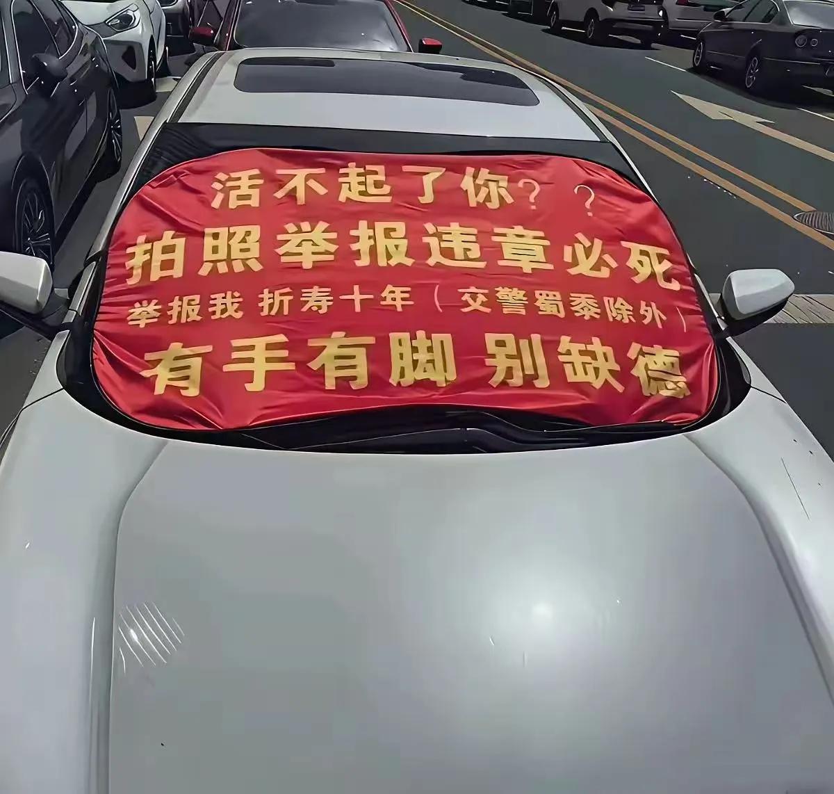 有个车主在路边乱停车，被人拍照举报后，罚单很快就贴上了，事情原本就该到此为止，可