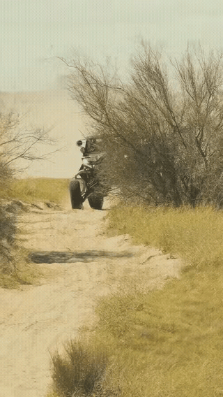 大家都很忙[笑着哭]