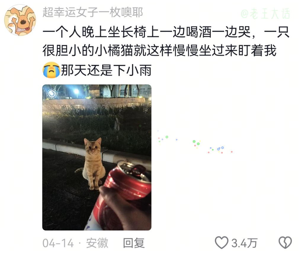 小狗才是最好的，它竟然可以感知到人类情绪的好坏。