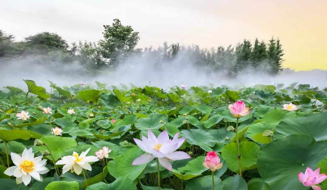 西安下起早班雨今早八点刚过，儿子刚要出门上班，忽然看到窗户玻璃噼里啪啦