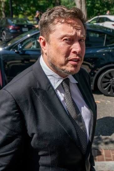 网友：有没有人注意到，每当你发布一些关于埃隆·马斯克的负面信息时，就会有一大群机