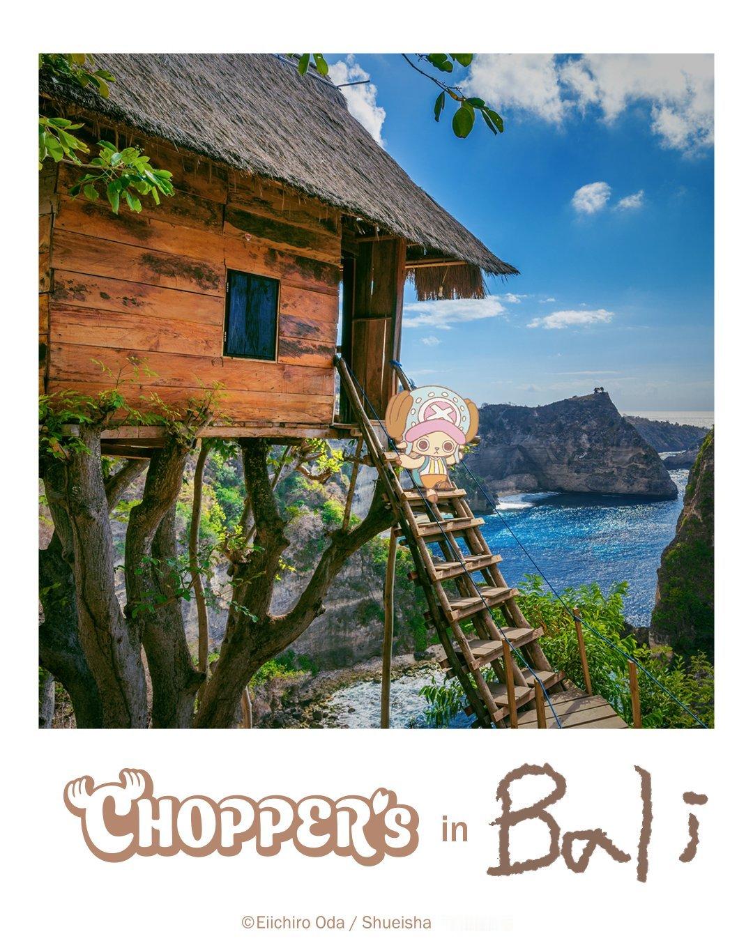 海贼王【本田快讯】「CHOPPER’s」乔巴在现代世界的生活