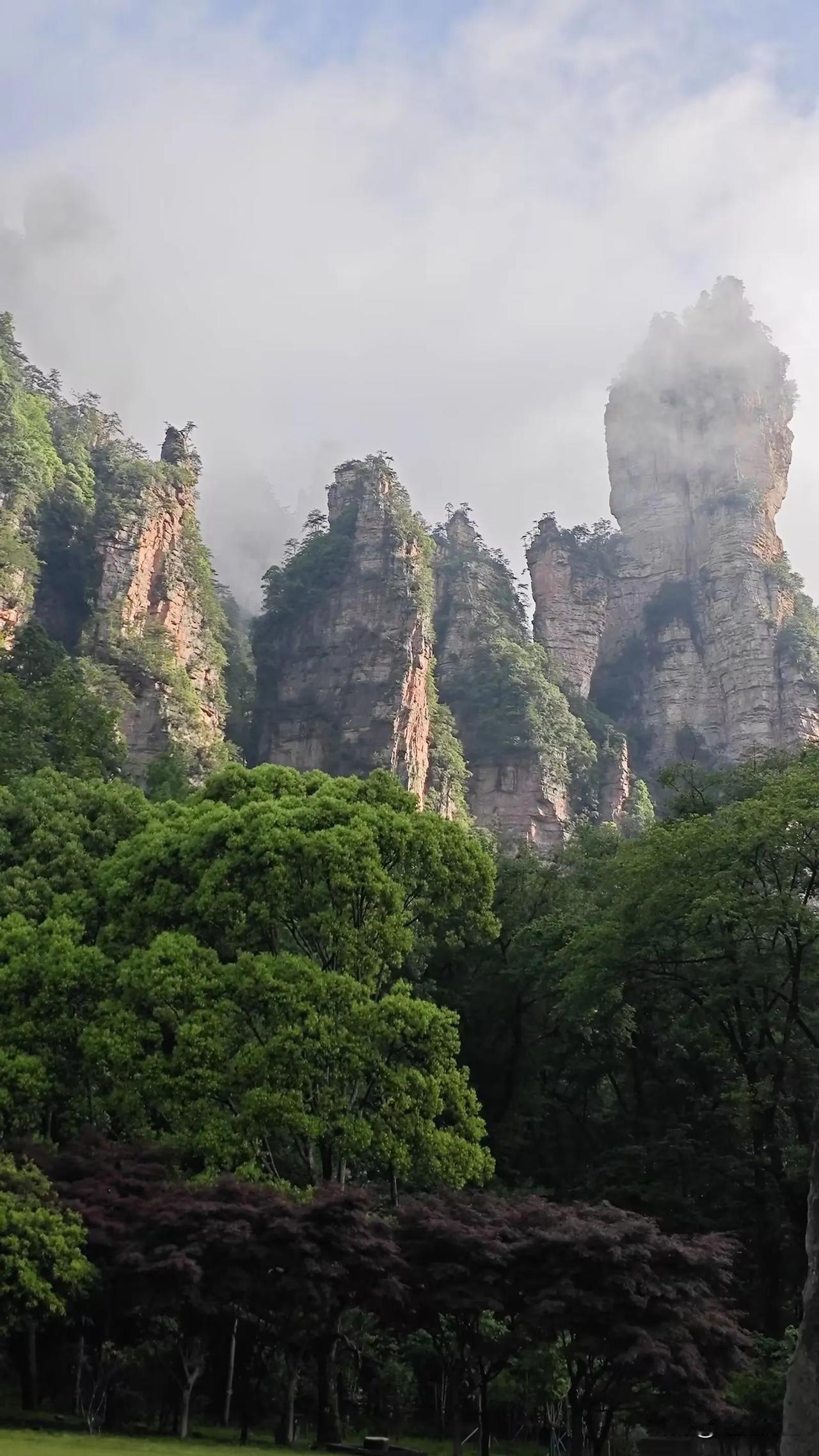 昨晚上睡觉到半夜起来方便，突然听到电梯开关的声音，这也没什么，关键是每隔2-3分