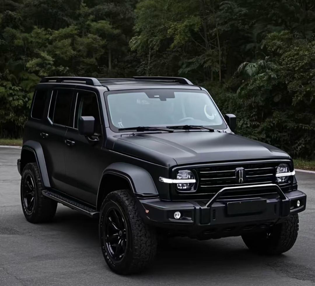 为什么越野人都倾向柴油发动机?柴油发动机特点低转高扭，越野动力强，在低速四