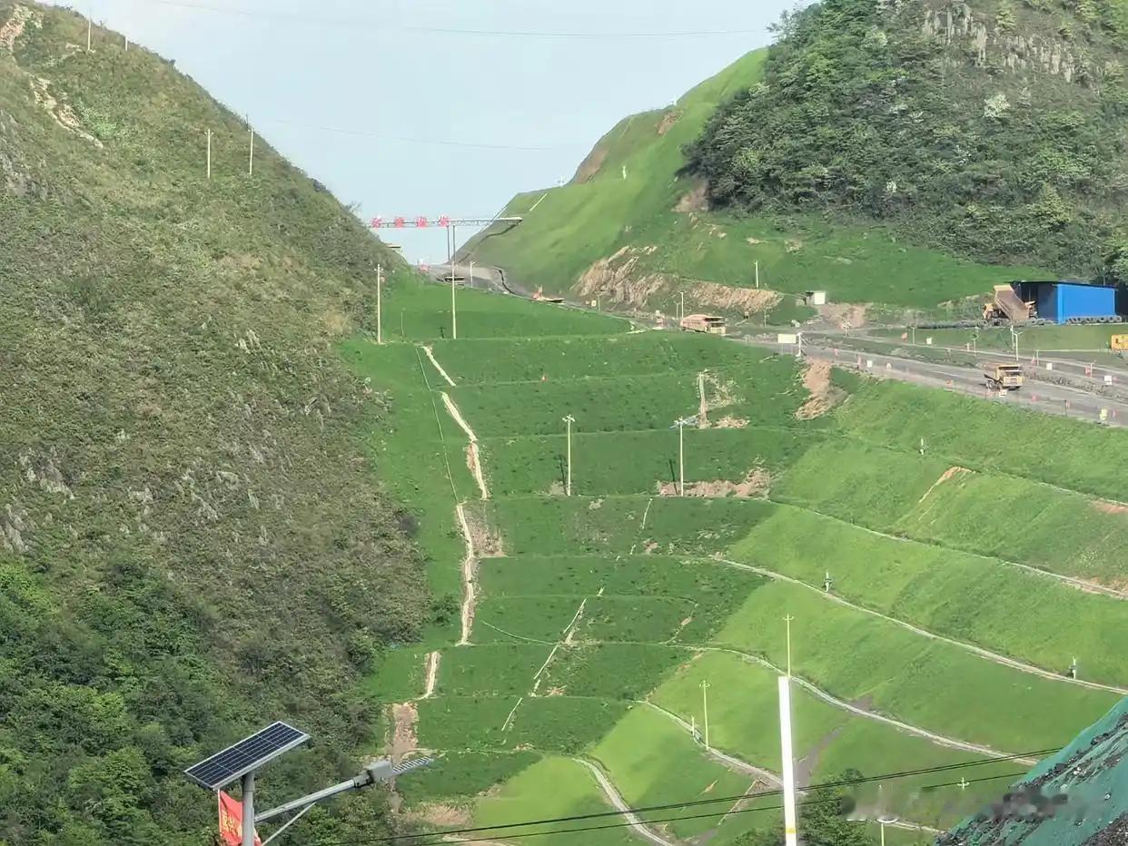 上周跟着行业调研团跑了趟湖北大冶，才知道这座曾经靠矿吃矿的老工矿城市，现在把绿色