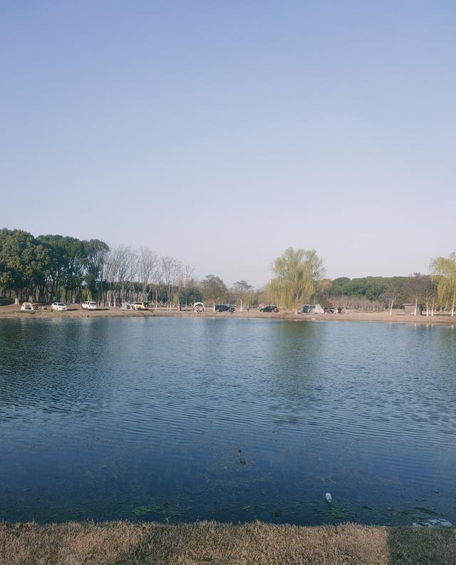 一位经济学教授曾说：“当银行的利率很低，说明银行不想要你的钱了。银行这样顶级专业