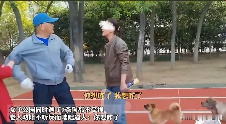 女子公园遛狗9条，吓坏路人，大爷劝阻无果，被质问：“你想咋地？你想咋地？”老太