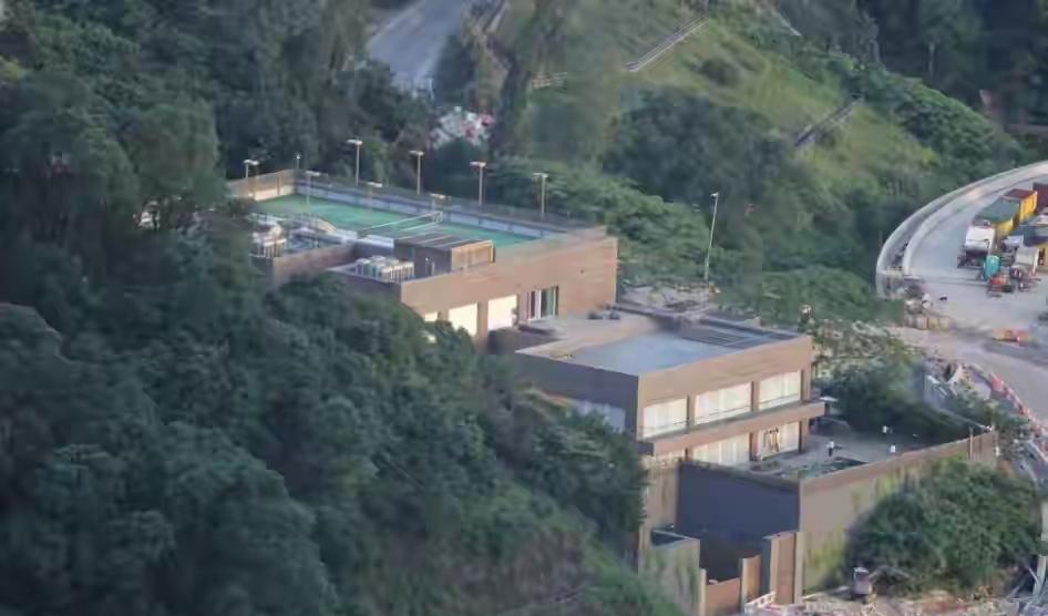 林青霞11亿豪宅竟被蟑螂“攻陷”！大美人深夜亲自打扫“尸横遍野”的厨房，崩溃直呼