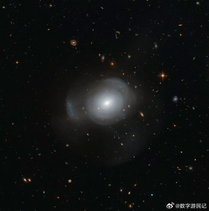 黑暗中绽放的星系。在距离我们3.5亿光年的水蛇座中，椭圆星系PGC6240被精